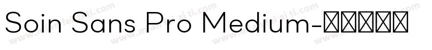 Soin Sans Pro Medium字体转换